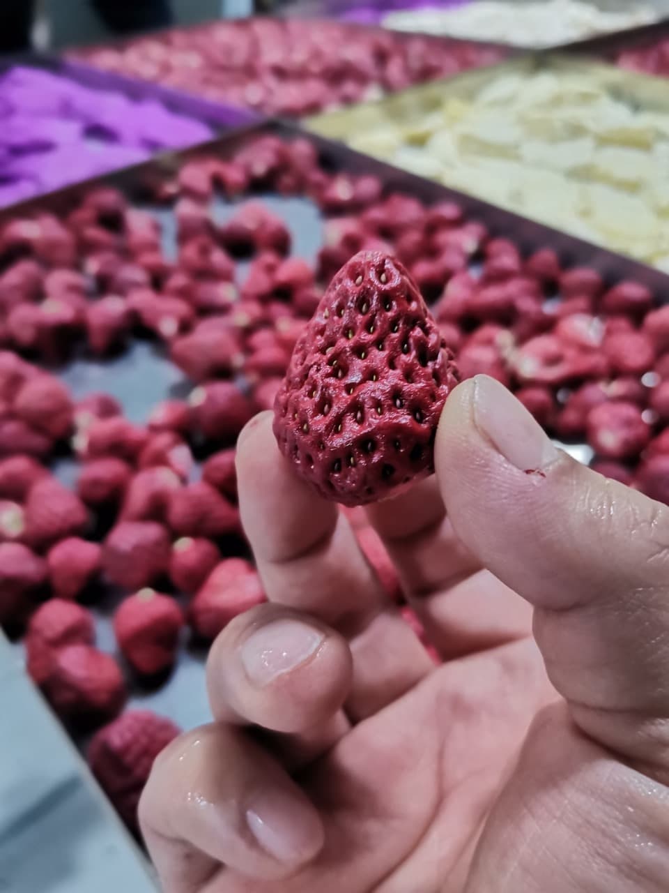 Strawberry Bites